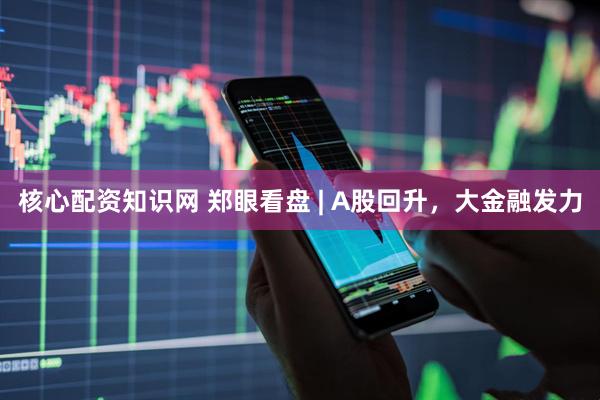 核心配资知识网 郑眼看盘 | A股回升，大金融发力